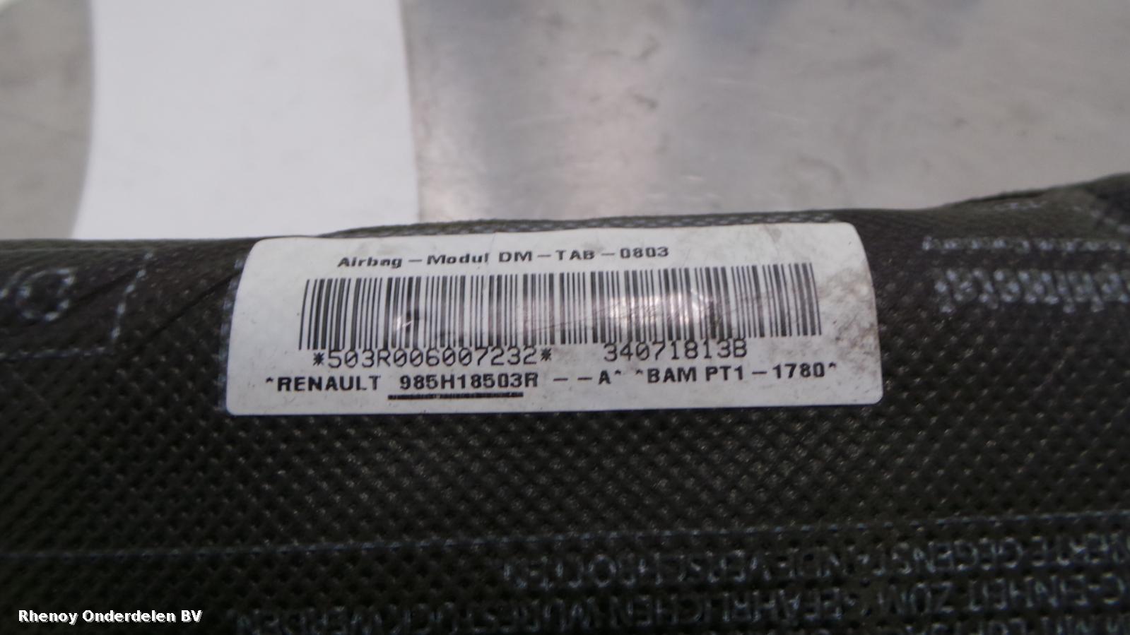 View Auto part AIRBAG RECHTS RENAULT CLIO 2009