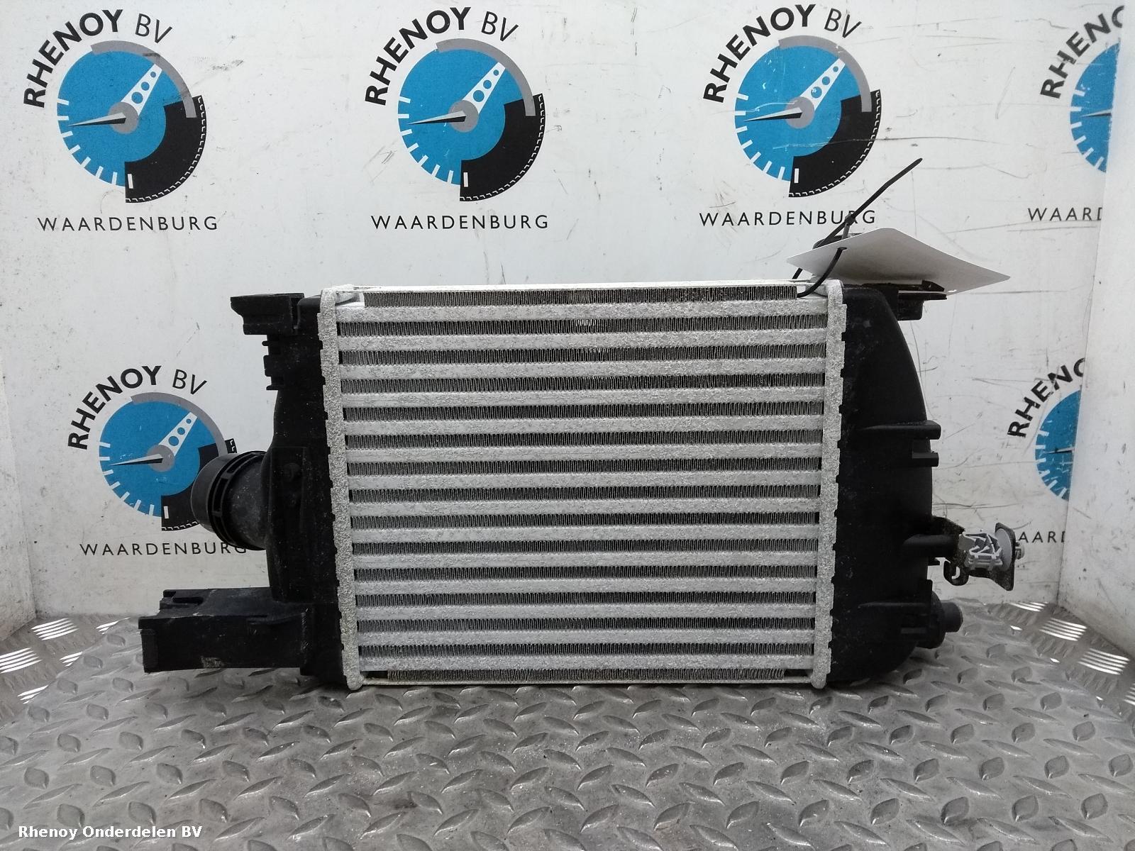 View Auto part INTERKOELER DACIA SANDERO STEPWAY 2019
