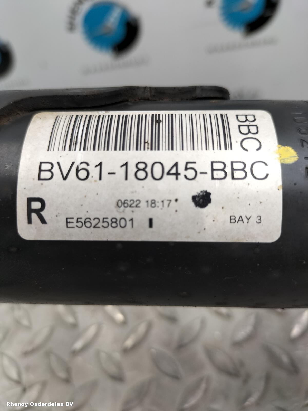 View Auto part RF Strut FORD FOCUS 2011