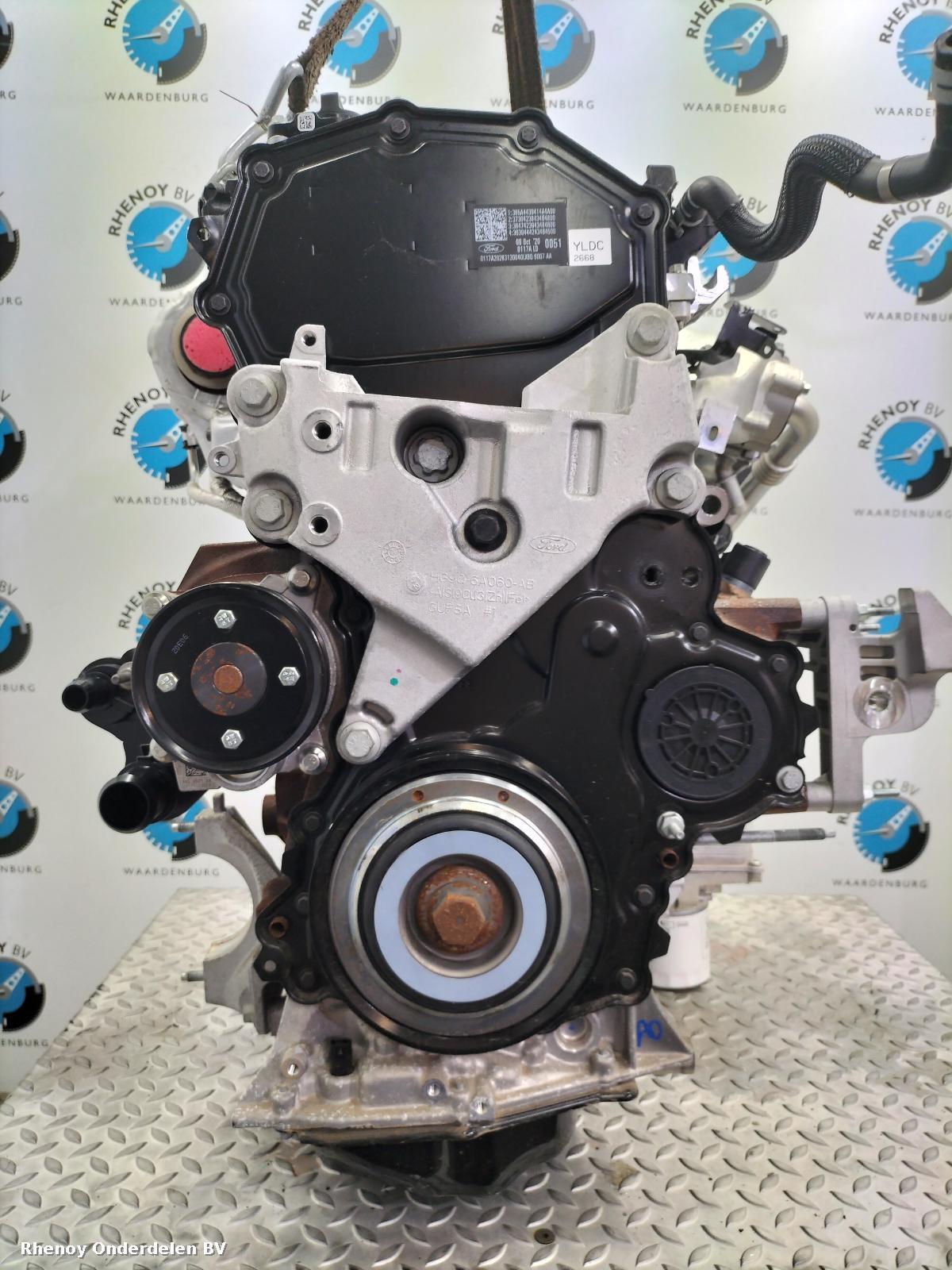 View Auto part Engine FORD KUGA 2020