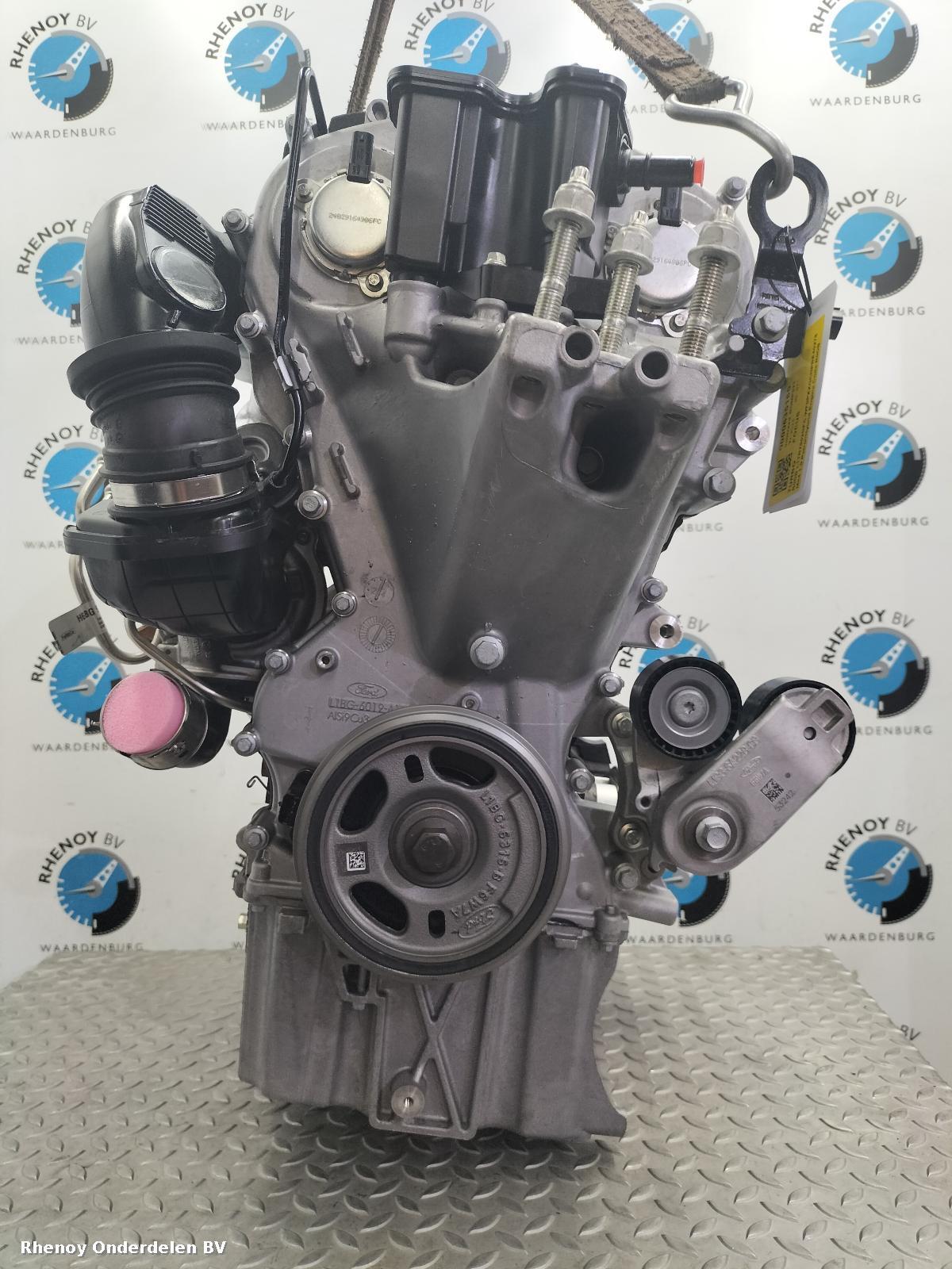 Bekijk Auto-onderdeel MOTOR FORD FOCUS 2024