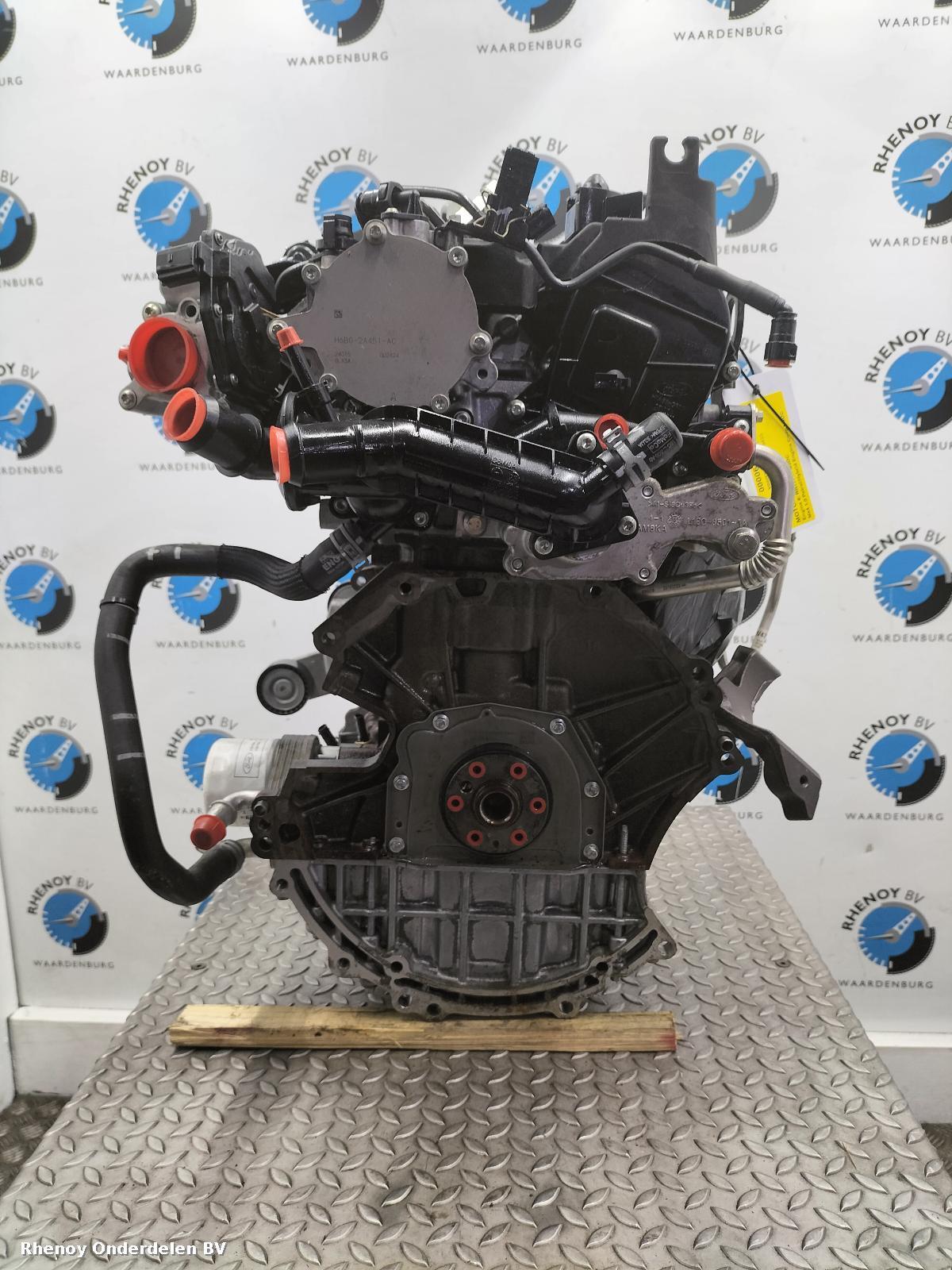 View Auto part MOTOR FORD FOCUS 2023