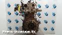 View Auto part MOTOR RENAULT LAGUNA 2008