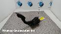 View Auto part GASPEDAAL SENSOR FORD FOCUS 2008