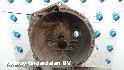 View Auto part TRANSMISSIE / VERSNELLINGSBAK BMW 3 SERIES 2008
