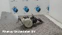 View Auto part VEILIGHEIDSGORDEL RENAULT CLIO 2009