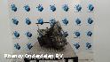 View Auto part TRANSMISSIE / VERSNELLINGSBAK RENAULT KANGOO 2008