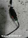 View Auto part AIRBAG SET RENAULT CLIO 2013