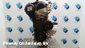 View Auto part MOTOR FORD B MAX 2015