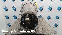 View Auto part TRANSMISSIE / VERSNELLINGSBAK MERCEDES E CLASS 2015