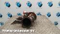 View Auto part TURBO FORD FOCUS 2015
