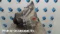 View Auto part TRANSMISSIE / VERSNELLINGSBAK FORD FIESTA 2015