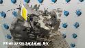 View Auto part Gearbox FORD FOCUS C MAX 2015
