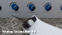 View Auto part OVERIGE PEUGEOT 508 2015