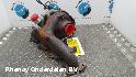 View Auto part TURBO FORD FOCUS C MAX 2015