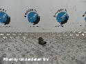 View Auto part OVERIGE FORD FIESTA 2010