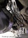View Auto part TURBO BMW 3 SERIES 2008