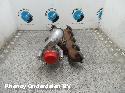 View Auto part TURBO PEUGEOT 2008 2017