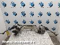 View Auto part STUURHUIS VOLVO V40 2013