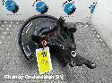 View Auto part FUSEE RA  VOLKSWAGEN BEETLE 2014