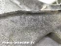 View Auto part TRANSMISSIE / VERSNELLINGSBAK CITROEN DS4 2017