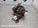 View Auto part TURBO VOLVO V40 2013