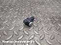 View Auto part OVERIGE FORD FIESTA 2016