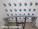 View Auto part VOORBUMPER BALK RENAULT SCENIC 2019