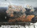View Auto part STARTMOTOR VOLKSWAGEN TOURAN 2005