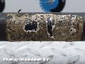 View Auto part AANDRIJFAS L BMW 1 SERIES 2004