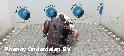 View Auto part TURBO FORD FOCUS C MAX 2012