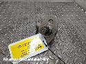 View Auto part BRANDSTOF POMP VOOR DE INJECTOR MINI (BMW) MINI 2016