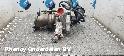 View Auto part TURBO VOLVO V40 2014