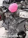 View Auto part MOTOR RENAULT CLIO 2021