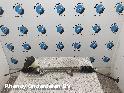 View Auto part STUURHUIS RENAULT CLIO 2011