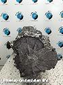 View Auto part TRANSMISSIE / VERSNELLINGSBAK AUDI A4 2010