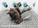 View Auto part TURBO NISSAN NAVARA 2013