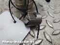 View Auto part BRANDSTOF POMP VOOR DE RAIL (HOGE DRUK) BMW X5 2016