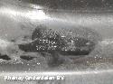 View Auto part DRAAGARM ONDER RV VOLKSWAGEN CADDY 2015