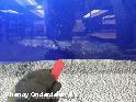 View Auto part MOTORKAP JAGUAR I-PACE 2022