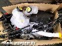 View Auto part VOORKOP COMPLEET RENAULT ZOE 2021
