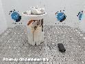 View Auto part BRANDSTOF POMP (IN TANK) FORD FIESTA 2023