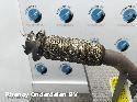 View Auto part KATALYSATOR DACIA DUSTER 2023