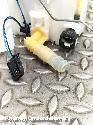 View Auto part BRANDSTOF POMP (IN TANK)  FORD KUGA 2020