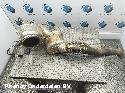 View Auto part DPF FORD EDGE 2020