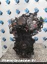 View Auto part MOTOR OPEL / VAUXHALL VIVARO 2024