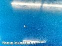 View Auto part MOTORKAP PEUGEOT 208 2025