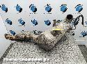 View Auto part ROETFILTER DIESEL DPF FORD TRANSIT 2020
