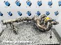 View Auto part KATALYSATOR FORD KUGA 2024