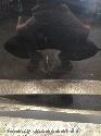 View Auto part PORTIER RA  PEUGEOT 408 2024